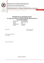 Projekt Sucha Beskidzka - PaÅstwowy Instytut Geologiczny