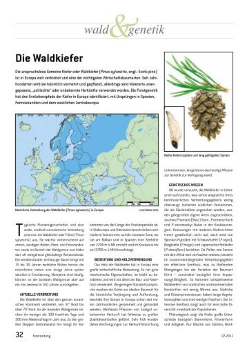 Die waldkiefer - Euforgen