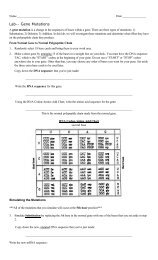 Gene Mutations Lab.pdf