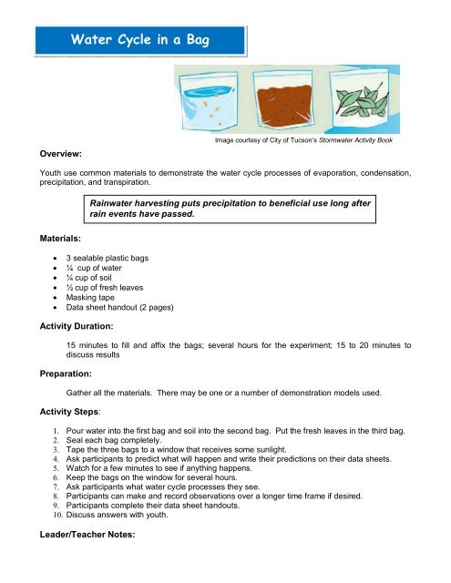 water-cycle-in-a-bag-activity