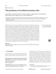 The proteome of rat olfactory sensory cilia