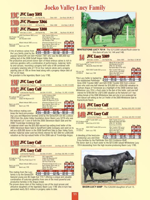 Jocko Valley cattle - Angus Journal