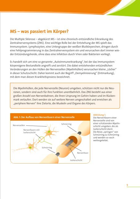 Begleiterkrankungen bei MS