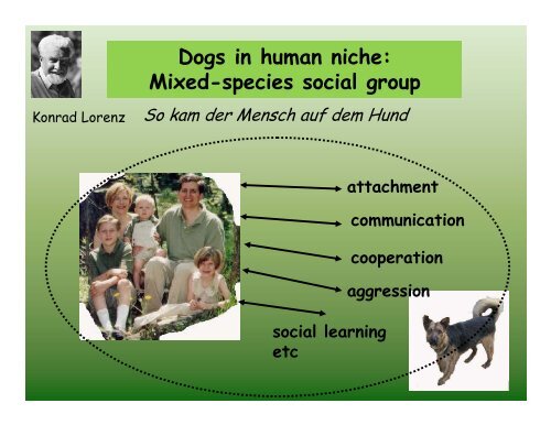 The ethology of social cognition in dogs