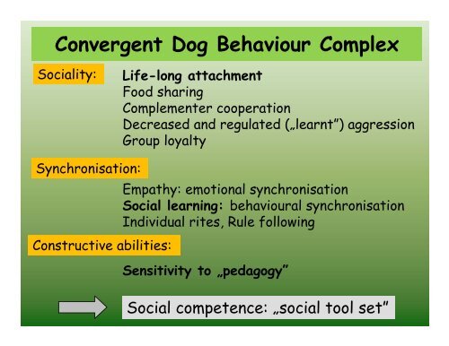 The ethology of social cognition in dogs
