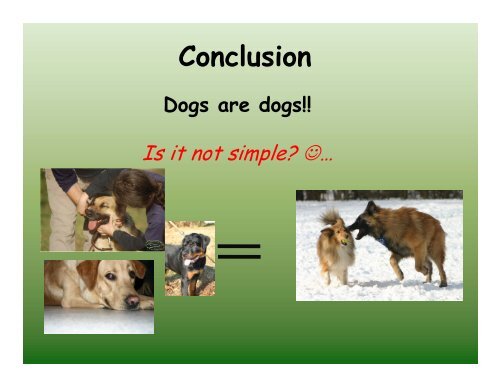 The ethology of social cognition in dogs