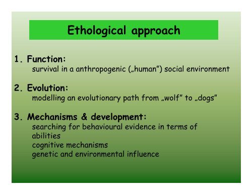 The ethology of social cognition in dogs
