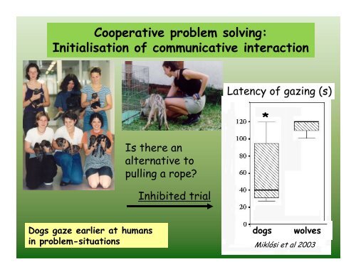 The ethology of social cognition in dogs