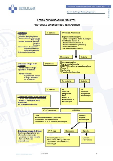 revisiones de salud del plexo