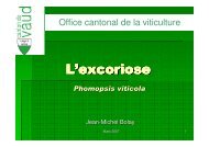 (Microsoft PowerPoint - Excoriose_simplifi\351.ppt) - vitiplus.ch