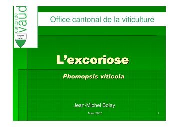 (Microsoft PowerPoint - Excoriose_simplifi\351.ppt) - vitiplus.ch