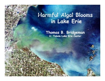 Tom Bridgeman – Maumee Bay Lake Erie Algal Blooms