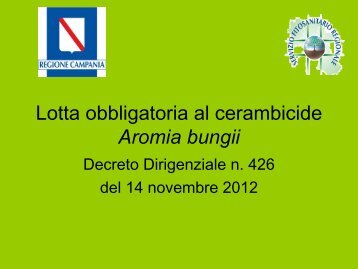 Il piano di azione contro l'Aromia bungii - Regione Campania