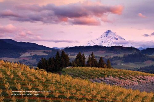 2009 Annual Report - American Farmland Trust