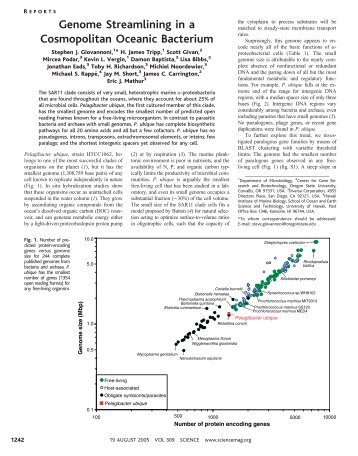 Genome Streamlining in a Cosmopolitan Oceanic Bacterium - Science