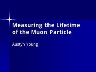 Measuring the Lifetime of the Muon Particle