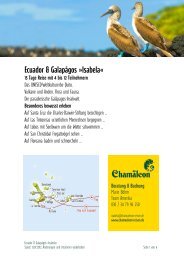 Ecuador & Galapágos »isabela«