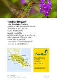 Costa Rica »monteverde«