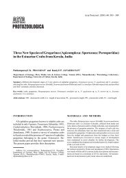 Three New Species of Gregarines (Apicomplexa: Sporozoea ...