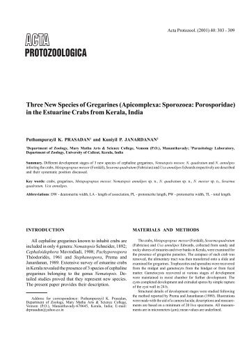 Three New Species of Gregarines (Apicomplexa: Sporozoea ...