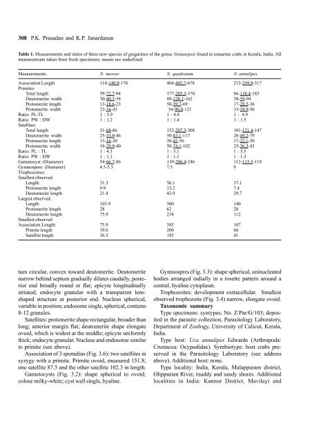 Three New Species of Gregarines (Apicomplexa: Sporozoea ...