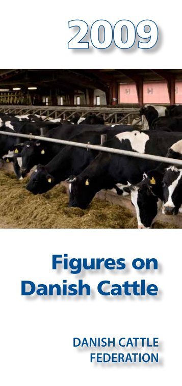 Figures on Danish Cattle - LandbrugsInfo