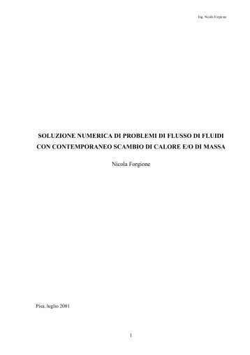 SOLUZIONE NUMERICA DI PROBLEMI DI FLUSSO DI FLUIDI CON ...