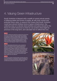 4. Valuing Green Infrastructure - South Yorkshire Forest Partnership