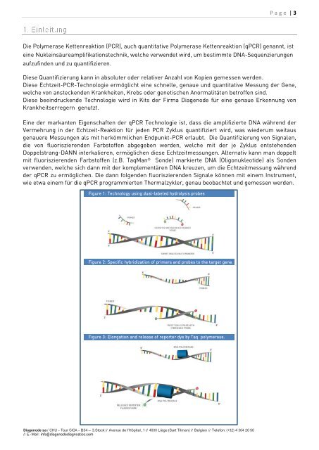 Enterisches virenpanel Echtzeit-PCR Kit - Diagenode Diagnostics