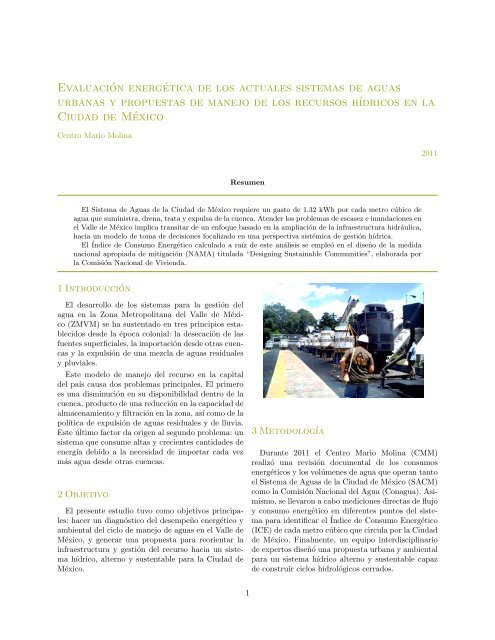 Descargar Documento en PDF - Centro Mario Molina