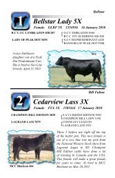 Bellstar Lady 5X Cedarview Lass 3X - Indian River Cattle Company