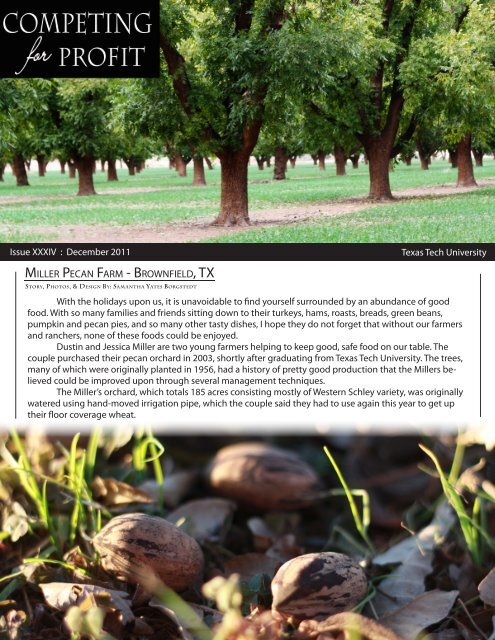can you make money with a pecan orchard in texas