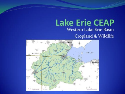 Western Lake Erie Basin Cropland & Wildlife