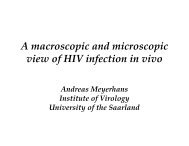 A macroscopic and microscopic view of HIV infection in ... - EUCO-Net