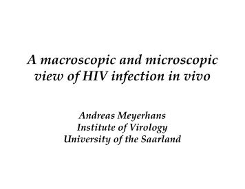 A macroscopic and microscopic view of HIV infection in ... - EUCO-Net