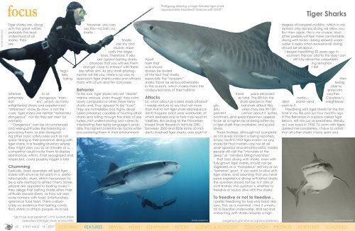 Freediving with Tiger Sharks :: X-RAY Magazine :: Issue 18 - 2007