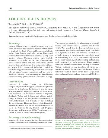 louping ill in horses - Bell Equine Veterinary Clinic