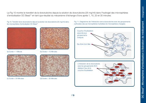 FRE Precision V & Pharmacy (T).qxd:1 - Biocompatibles