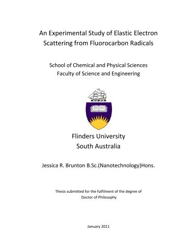 An Experimental Study of Elastic Electron Scattering from ...