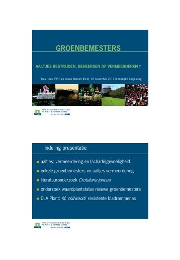 Groenbemesters; aaltjes bestrijden of vermeerderen - Kennisakker.nl