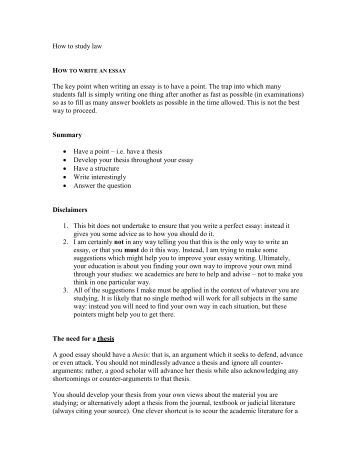 example of a argumentative essay