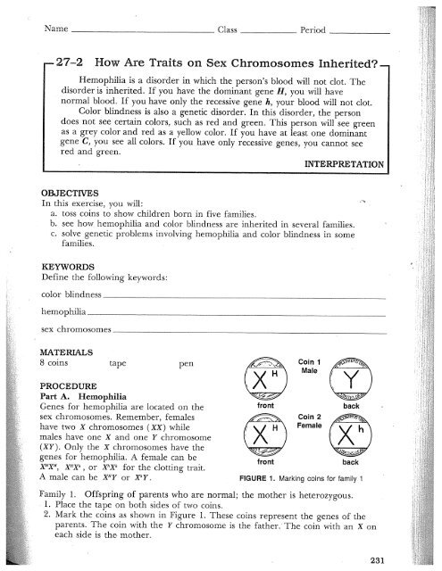 27 2 How Are Traits On Sex Chromosomes Inherited Mrs Gm