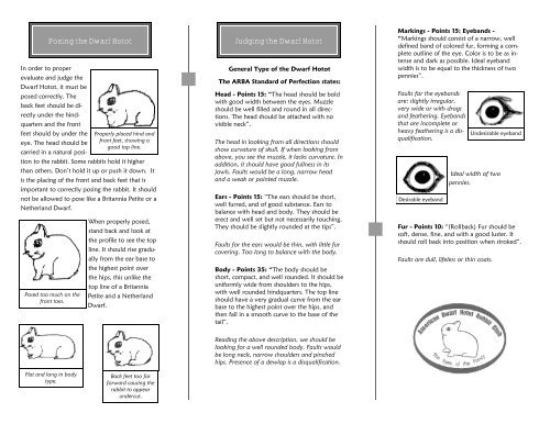 Judging the DH 2006 bw - the American Dwarf Hotot Rabbit Club