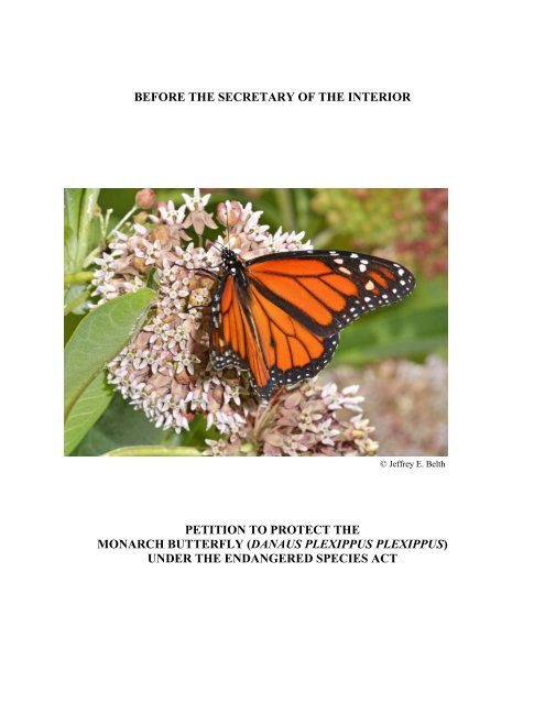 Monarch Butterfly  Nebraska Game & Parks Commission
