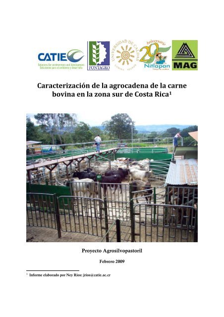 CaracterizaciÃ³n de la agrocadena de la carne bovina en la ... - Catie