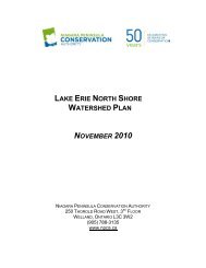 Lake Erie North Shore Watershed Plan - Niagara Peninsula ...