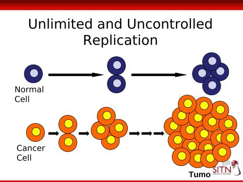 The War On Cancer