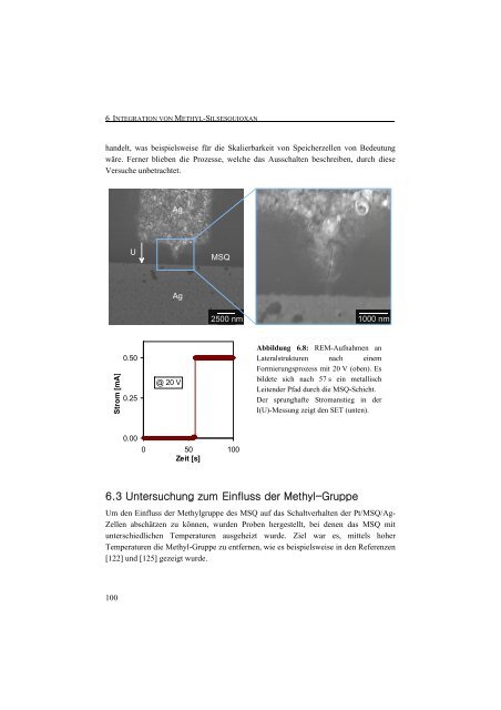 Entwicklung einer Nanotechnologie-Plattform für die ... - JuSER