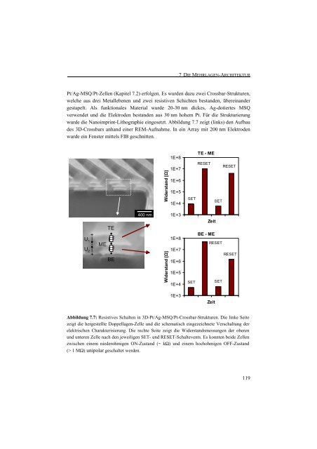 Entwicklung einer Nanotechnologie-Plattform für die ... - JuSER