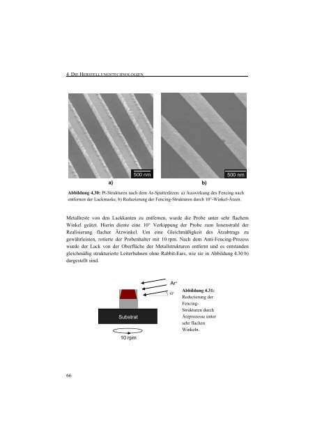 Entwicklung einer Nanotechnologie-Plattform für die ... - JuSER